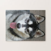 Puzzle Alaskan Malamute Chien photo visage (Horizontal)