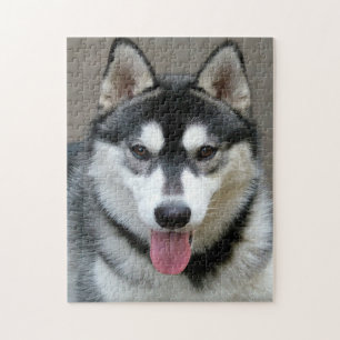 Puzzle Alaskan Malamute Chien photo visage