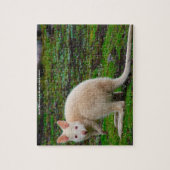 Puzzle Albino australien Kangaroo (Vertical)
