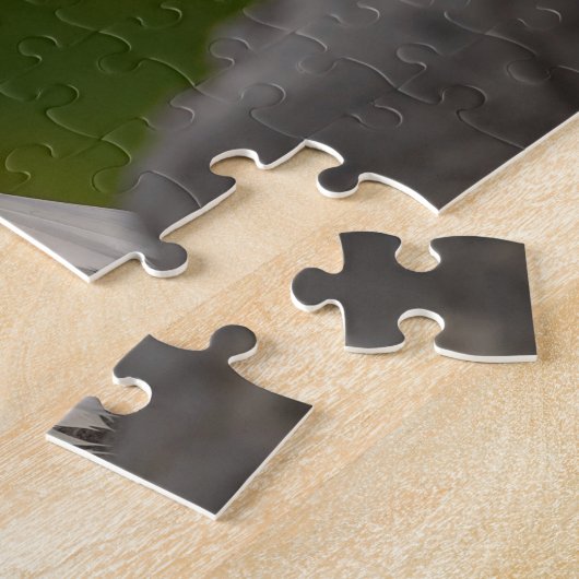 Puzzle Albino Robin dans Crown Point (Côté)