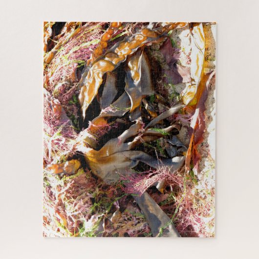 PUZZLE ALGUES (Vertical)