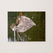 Puzzle Alimentation Cute Duck (Horizontal)