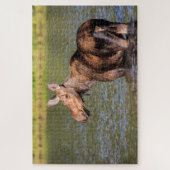 Puzzle Alimentation de l'orignal dans le parc national de (Vertical)