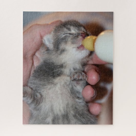 Puzzle Alimentation en bouteille Tabby Kitten nouveau-né (Vertical)