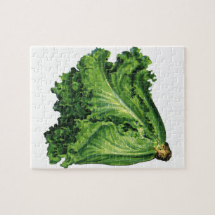 Puzzle Aliments Anciens, Légumes de Laitue à Feuilles Ver