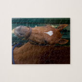 Puzzle Allé au devant (Horizontal)