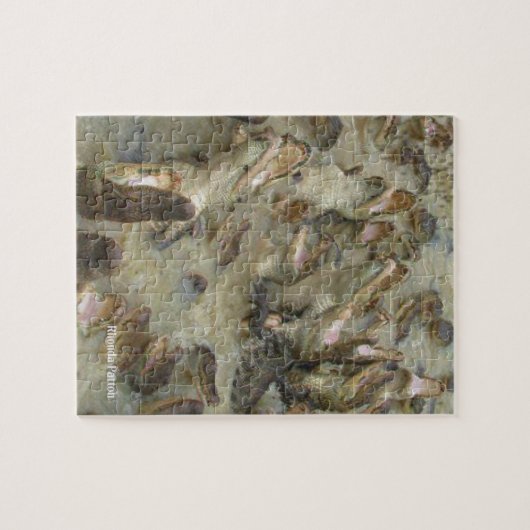 Puzzle Alligator (Horizontal)