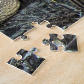 Puzzle Alligator (Côté)