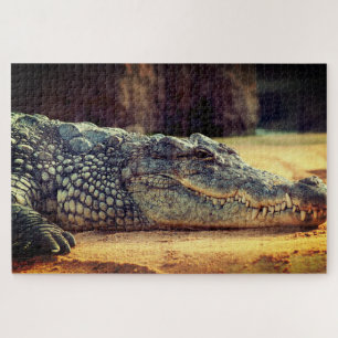 Puzzle Alligator