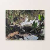 Puzzle Alligator (Horizontal)