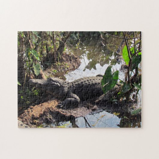 Puzzle Alligator (Horizontal)