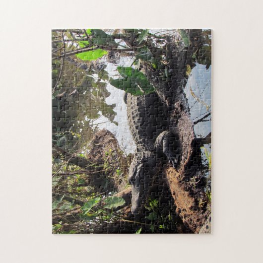 Puzzle Alligator (Vertical)