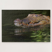 Puzzle Alligator (Horizontal)