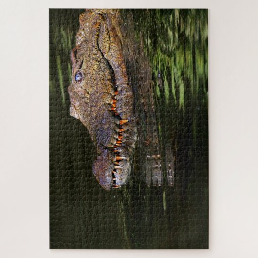 Puzzle Alligator (Vertical)