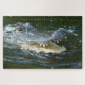 Puzzle Alligator (Horizontal)