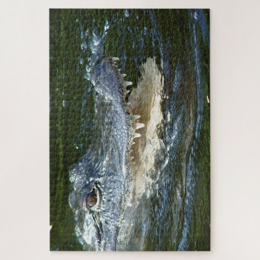 Puzzle Alligator (Vertical)