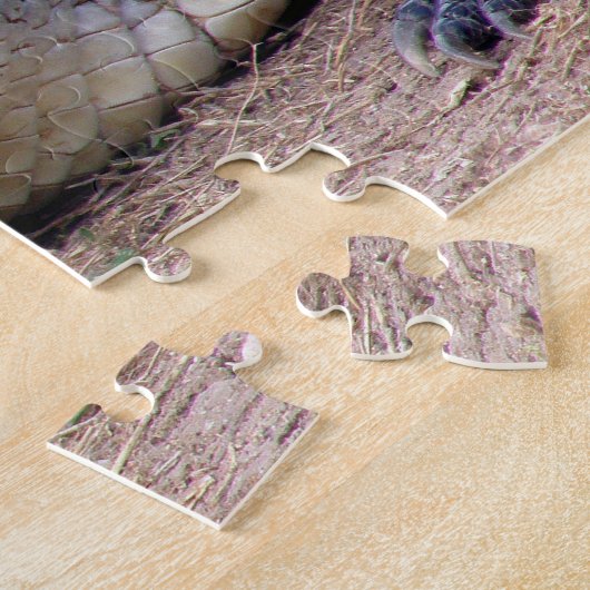 Puzzle Alligator américain (Côté)