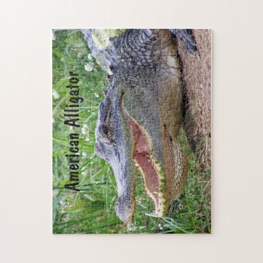 Puzzle Alligator américain (Vertical)