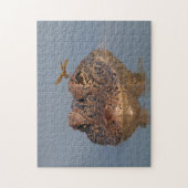 Puzzle Alligator américain et libellule - Photo de la fau (Vertical)