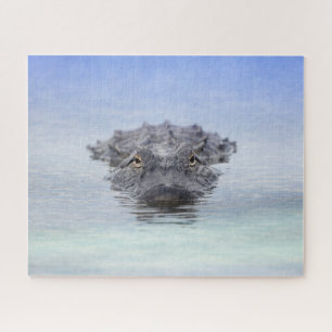 Puzzle Alligator Américain – Lake Apopka Wildlife Drive
