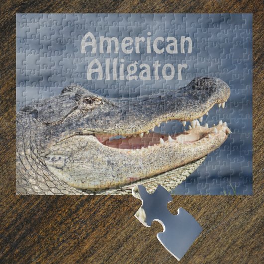 Puzzle Alligator américain souriant