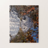 Puzzle Alligator - Attention ! (Vertical)