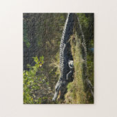 Puzzle Alligator au soleil de Floride (Vertical)