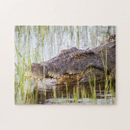 Puzzle Alligator Crocodiles Faune Afrique (Horizontal)