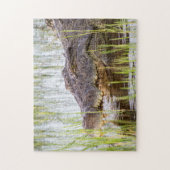 Puzzle Alligator Crocodiles Faune Afrique (Vertical)