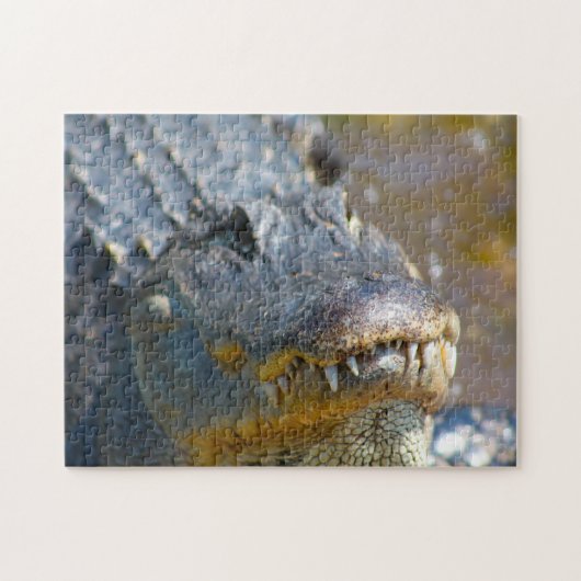 Puzzle Alligator dans le Mississippi. (Horizontal)