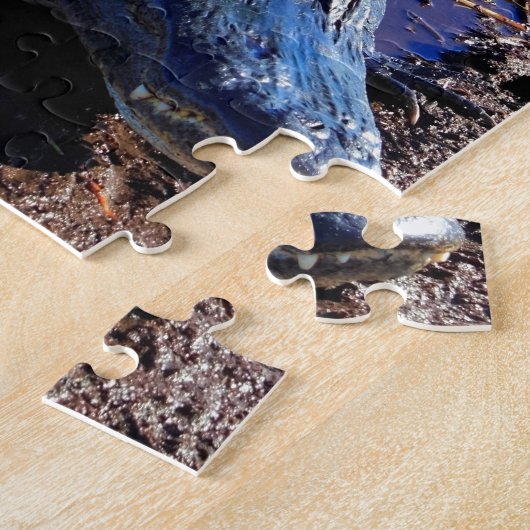 Puzzle Alligator de marais (Côté)