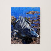 Puzzle Alligator de marais (Vertical)