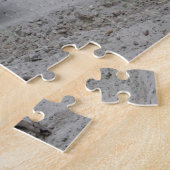 Puzzle Alligator, Fort Lauderdale, Floride (Côté)