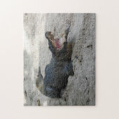 Puzzle Alligator, Fort Lauderdale, Floride (Vertical)