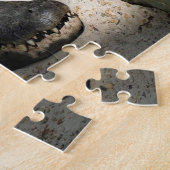 Puzzle Alligator, Fort Lauderdale, Floride (Côté)