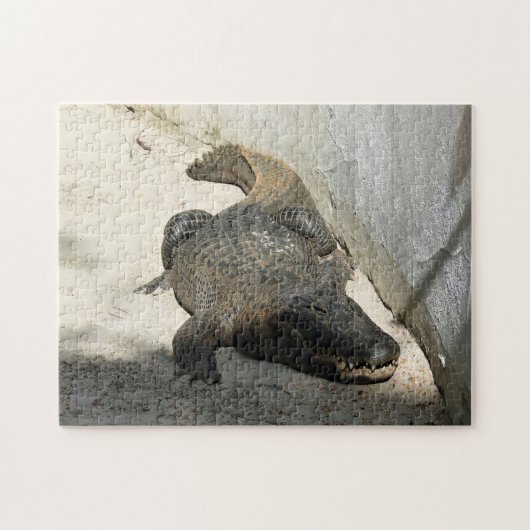 Puzzle Alligator, Fort Lauderdale, Floride (Horizontal)