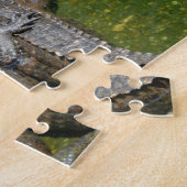 Puzzle Alligators américains (Côté)
