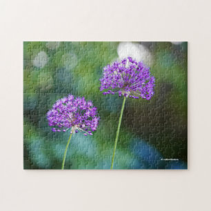Puzzle Allium violet Giganteum Fleurs d'oignon géantes