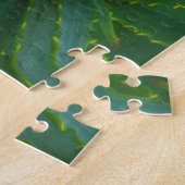 Puzzle Aloe là (Côté)