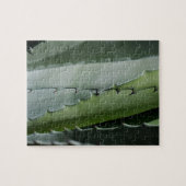 Puzzle Aloe - Photographie de Macro Fine Art (Horizontal)