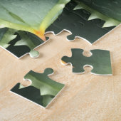 Puzzle Aloe spirale Fibonacci (Côté)
