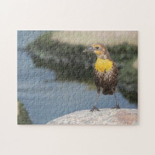Puzzle Alouette des prairies. (Horizontal)
