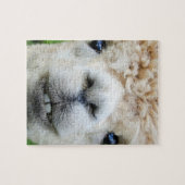 PUZZLE ALPACA 8X10 (Horizontal)