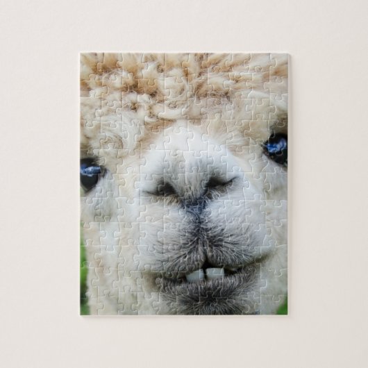 PUZZLE ALPACA 8X10 (Vertical)