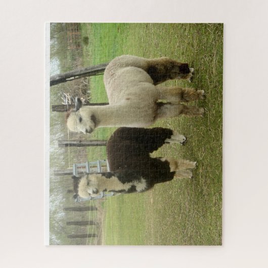 Puzzle Alpacas (Vertical)