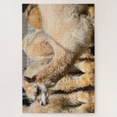 Puzzle alpacas à la ferme (Vertical)