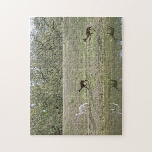 Puzzle - Alpacas sur la colline (Vertical)