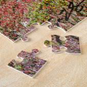 Puzzle Alpes suisses (Côté)