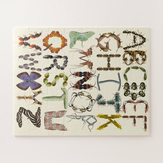 Puzzle Alphabet d'insectes - Bugs alphabétiques (Horizontal)