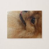 Puzzle Amant de Pomeranian (Horizontal)